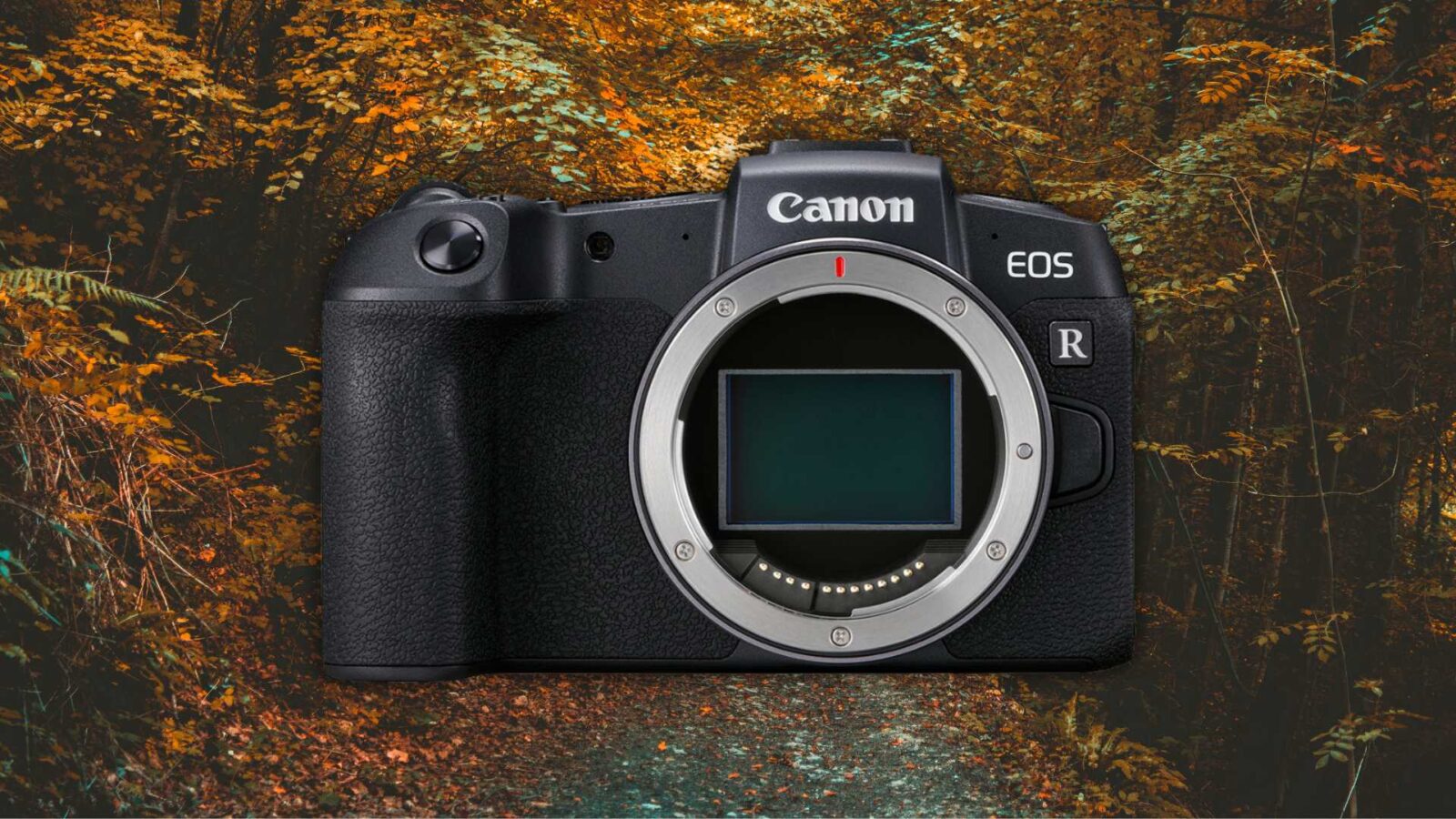 Canon EOS RP