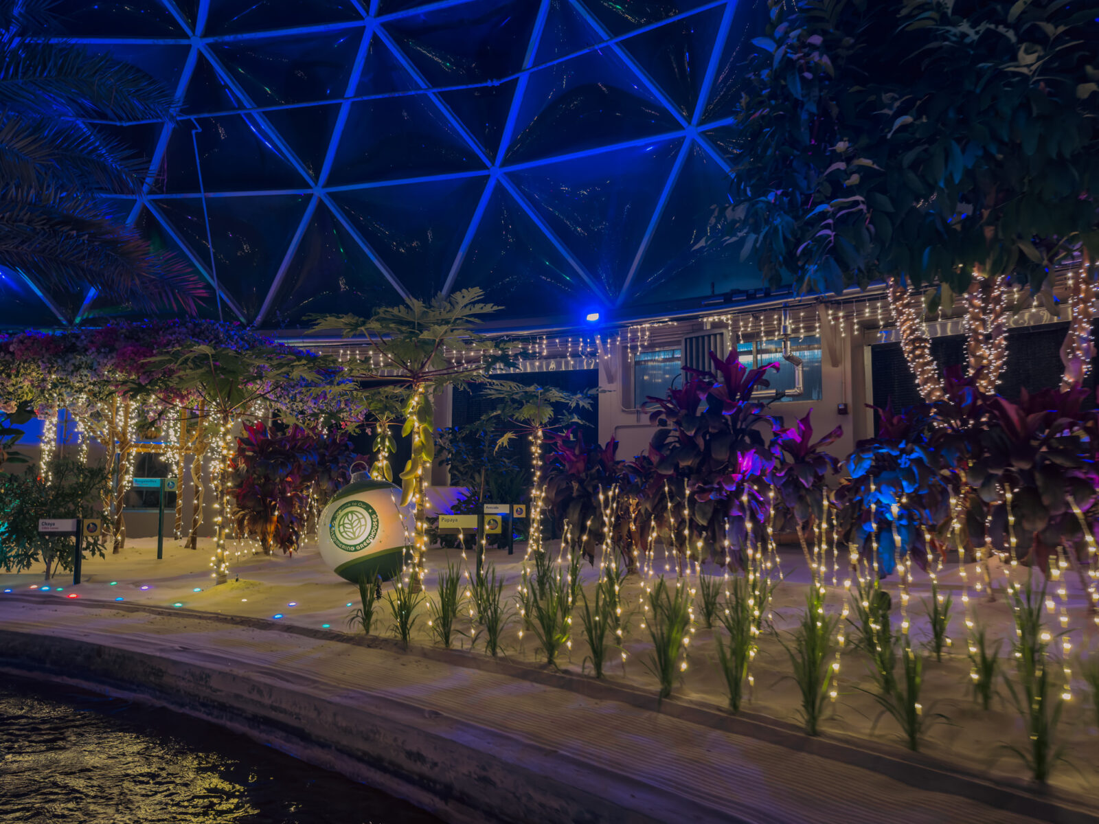 Living with the Land: Glimmering Greenhouses
