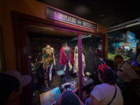 Taylor Swift Eras Outfits at Hollywood Studios